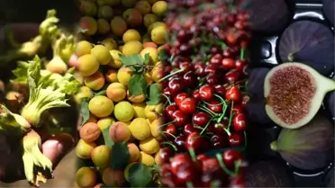 Türkiye Tarım Üretiminde Dünya Birincisi