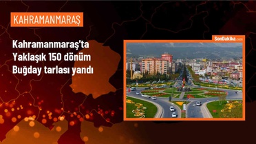 Kahramanmaraş'ta çıkan yangında 150 dönüm buğday tarlası zarar gördü