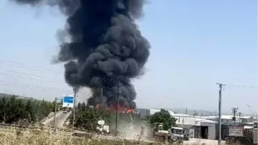 Tarihi Evleri Defineciler Talan Ediyor