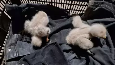 Turizm Haftası Etkinlikleri Antakya'dan Start Alacak