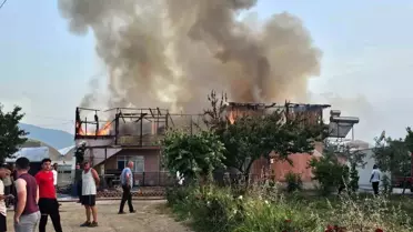 Hayvancılık Sektörüne Devlet Desteği Artıyor