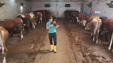 Hidayet'li Orlando Detroıt'e Deplasmanda Mağlup Oldu