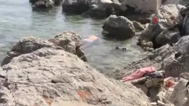 Cumhurbaşkanı Sezer: 'Çok Yönlü ve Artan Tehditlerle Karşı Karşıyayız'