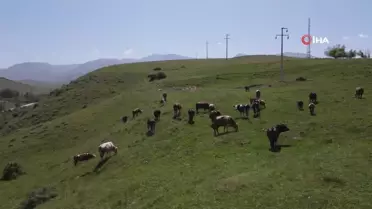 Kırıkkale'de Elektrik Kesintisi
