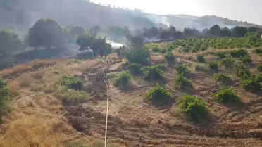 Kocali'nde Trafik Kazası: 2 Yaralı