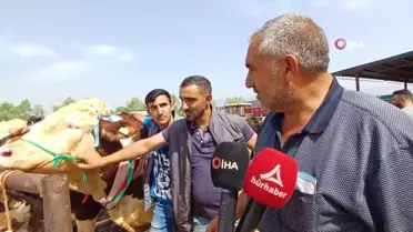 Tema Kırıkkale'de 13 Bin Fidan Dikti