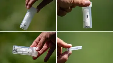 İskenderun'da Emre Aydın Konseri