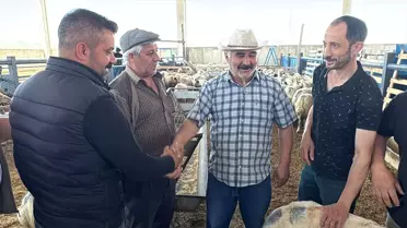 Türkiye Bayanlar Voleybol 1. Ligi