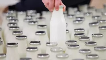 Türkiye'nin ünlü süt markası fabrikası icradan satılıyor 