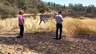 Antalya'da Yerel Yönetimler