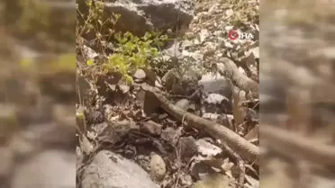 Sinpaş Gayrimenkul: 'TOKİ ve Kiptaş Sektöre Zarar Veriyor'