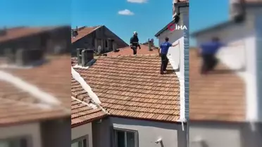 Mezarlıkta İzinsiz Gösteriye 13 Gözaltı