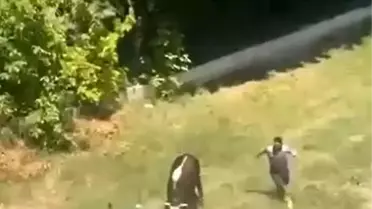 CHP'den Erdoğan'a Tazminat Davası