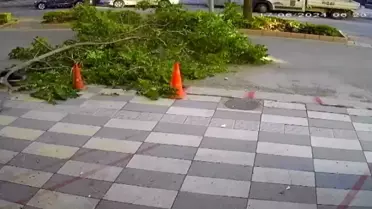 Gaziantep'teki Fuar ve Kongre Merkezi Çalışmaları