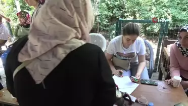 Televizyon Yayıncıları Ortak Antene Geçiyor