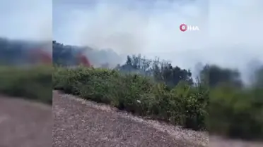 THY Genel Müdürü Kotil'den Eskişehir'e Yurtdışı Sefer Müjdesi