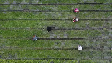Hakkari Valiliği'nden Ölü Ele Geçirilen Teröristlerle İlgili Açıklama