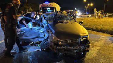 Silopi'de Şap Hastalığı