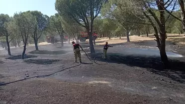 İzmir Karaburun'da Orman Yangınına Müdahale Ediliyor