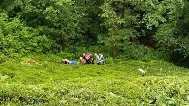 Rize'de dereye yuvarlanan kişi yaralandı