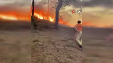 Omü 6. Bahar Şenliği Afiş Yarışması Sonuçlandı