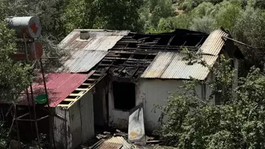 Demirci'de 200 Baş Damızlık Düve Dağıtıldı