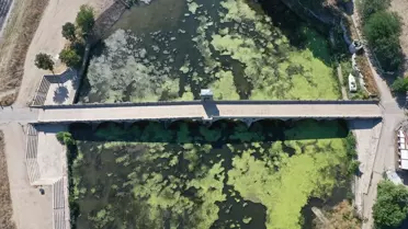Edirne'deki Tunca Nehri'nde Yosun ve Su Mercimekleri Oluştu
