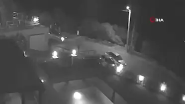 Mersin'de Orman Zararlılarıyla Mücadele