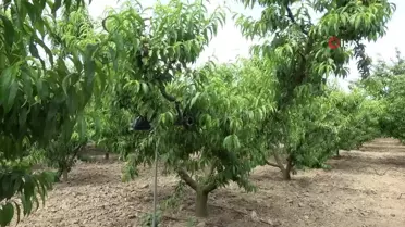 Konya'da Uyuşturucu Operasyonu