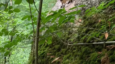 Toptancı Hallerine Özelleştirme