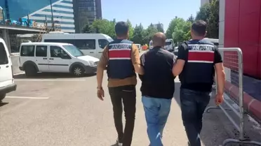 Tse-sojuztest Bir Yılda 220 Kat Büyüdü