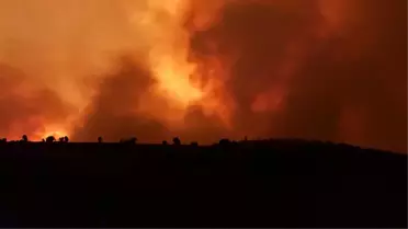 Diyarbakır ve Mardin'deki anız yangınında hayatını kaybedenlerin sayısı 12'ye yükseldi