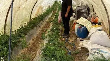 Sothebys'de İslami Eserler Açık Artırmada Satıldı