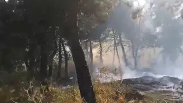 Balıkesir'de otluk alandaki yangın ormanlık alana sıçradı