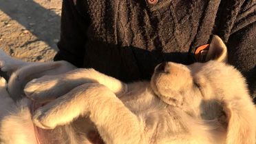 Ukrayna: 3 - Türkiye: 3