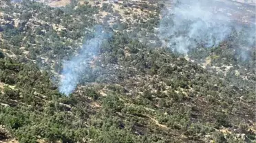 Siirt'te çıkan orman yangını kontrol altına alındı