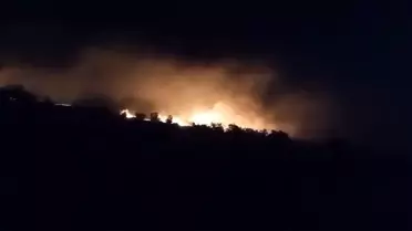 Mardin'de Anız Yangını Söndürüldü