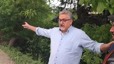 Artvin Şavşat'ta Sahara Milli Parkı'nda Ağaç Kesimine Tepki: 'Böyle Bir Kesimle Böcek Zararının Önlendiği Dünyada Görülmüş Değil'