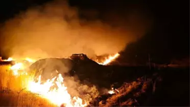 Şırnak'ın İdil ilçesinde çıkan yangın yeniden başladı