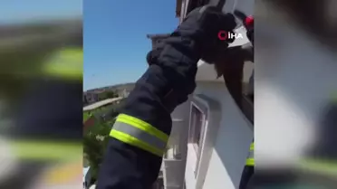 Çatıda ipe dolanan kuşu itfaiye ekipleri kurtardı