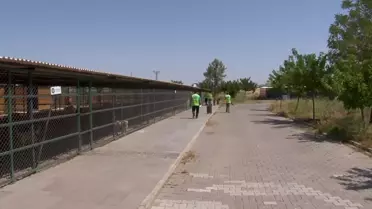 Diyarbakır'da yangında yaralanan hayvanların tedavisi devam ediyor