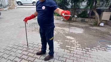 Belen'deki kız öğrenci yurduna yılan girdi