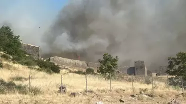 Assos Antik Kenti'nin bulunduğu Behram köyünde yangın çıktı