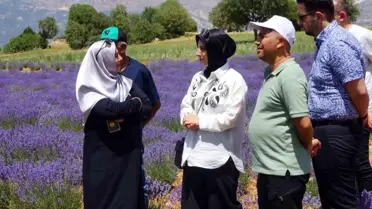 Emekli Hemşire Betül Arslan, Gökçekent köyünde lavanta yetiştiriciliği yaparak kadınlara örnek oluyor