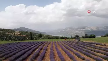 Emekli hemşire girişimciliğiyle kadınlara örnek oluyor