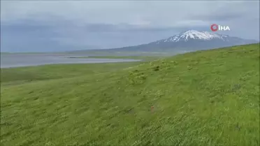 Sütey Yaylası ve Süphan Dağı'nda Bulut Geçişleri Görsel Şölen Oluşturdu