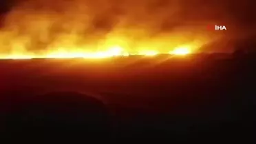 Tunceli'de korkutan yangın: 100 dönümlük ekili alan zarar gördü