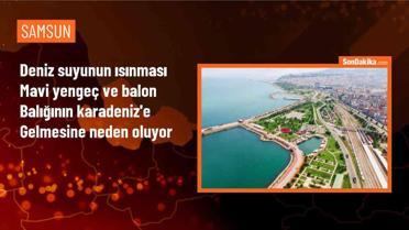 Küresel İklim Değişikliği Karadeniz'de Yeni Türlerin Yaşamını Sağlıyor