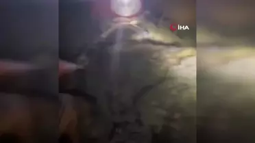 Ziftte mahsur kalan 2 yavru köpeği itfaiye kurtardı