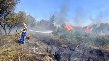 Osmaniye'de Kastabala Kuş Cenneti'nde Yangın Kontrol Altına Alındı